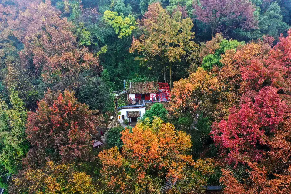 3_Mount Yuelu