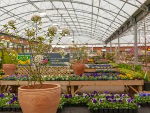 Dobbies Garden Centre Swansea
