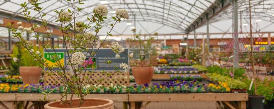 Dobbies Garden Centre Swansea