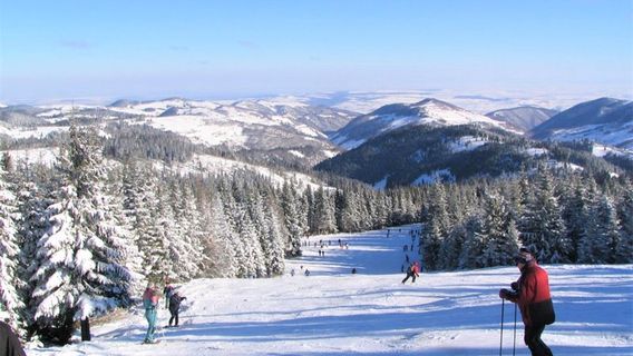 Băișoara Ski Slope