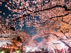 Ueno Park