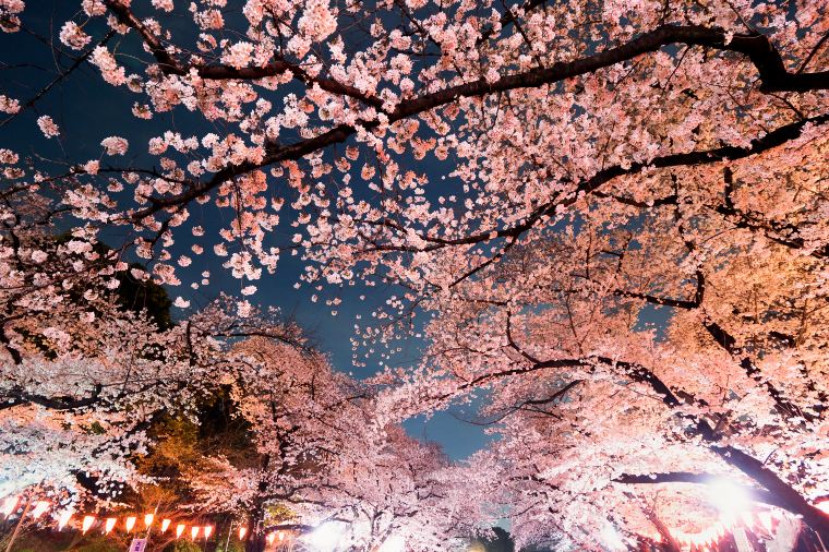 Ueno Park