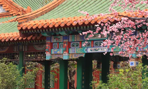 The New Yuan Ming Palace