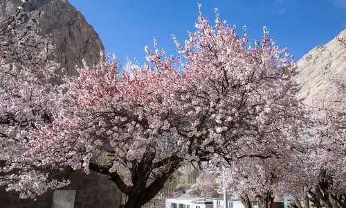 Pamir Tourist Area