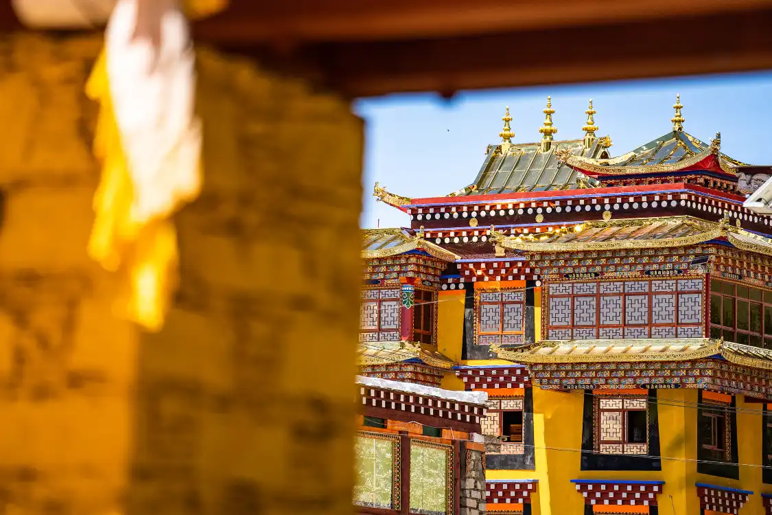 Hotels near Huiyuan Temple