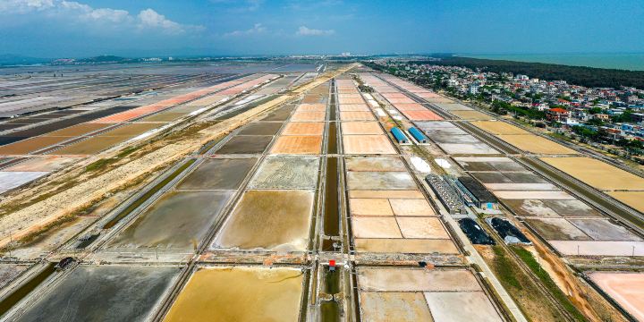 Yingge Salt Field