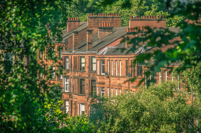 The Tenement House (National Trust for Scotland)