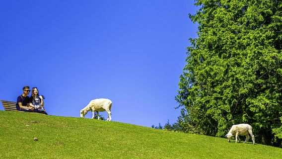 Rokkosan Pasture (Ranch)
