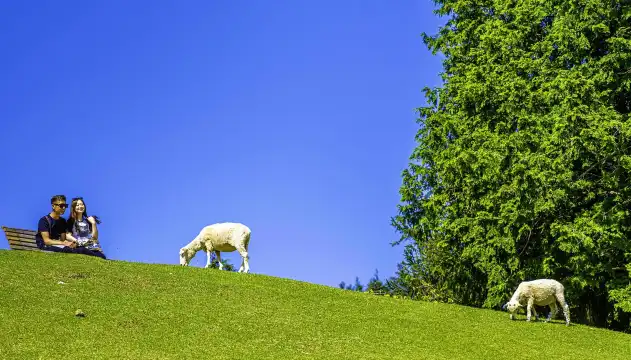 神戸市立六甲山牧場周辺のホテル