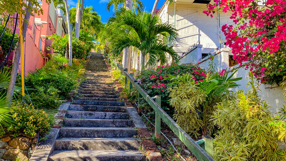 99 Steps
