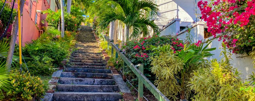 99 Steps