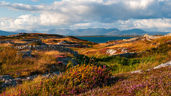 Galway