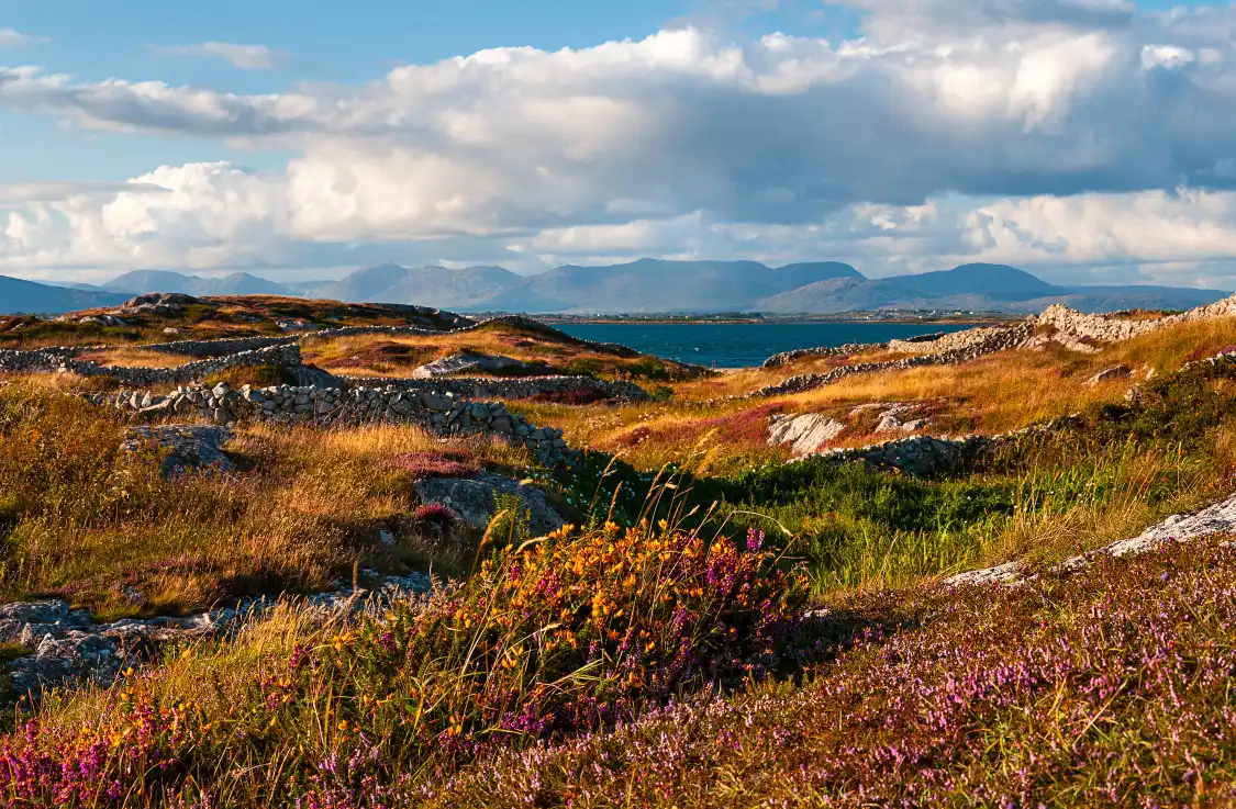 Hotels near Galway Bay