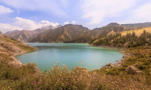 Scenic Area of Largedragon Pools