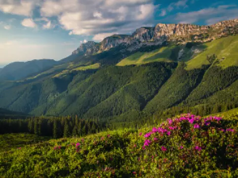布切吉自然公園