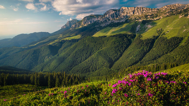 Bucegi Natural Park