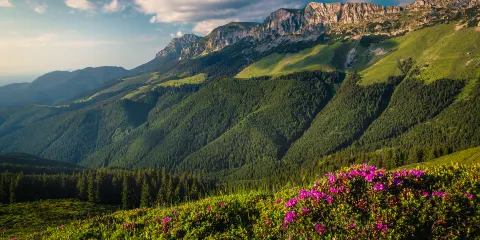 布切吉自然公園