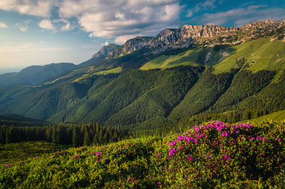 Bucegi Natural Park