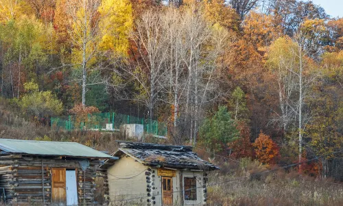 錦江木屋村