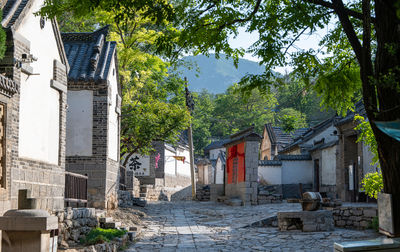 Zhujiayu Village