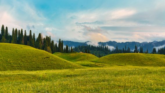 Nalati River Valley Grassland Forest Park