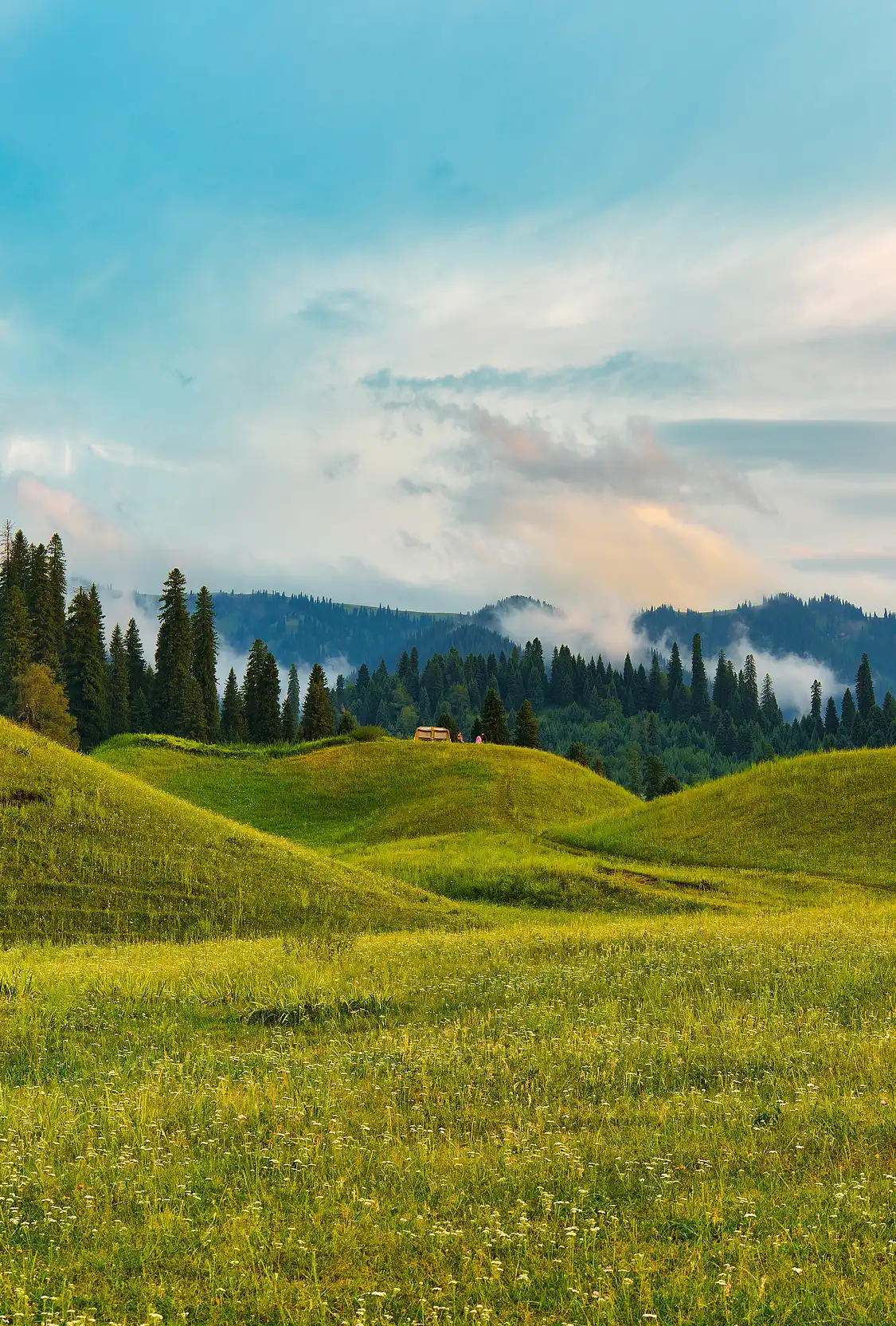 Hotels near Hegu Grassland