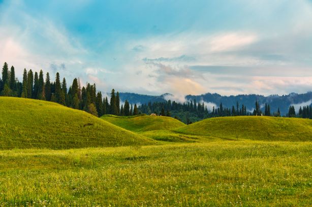 Nalati River Valley Grassland Forest Park