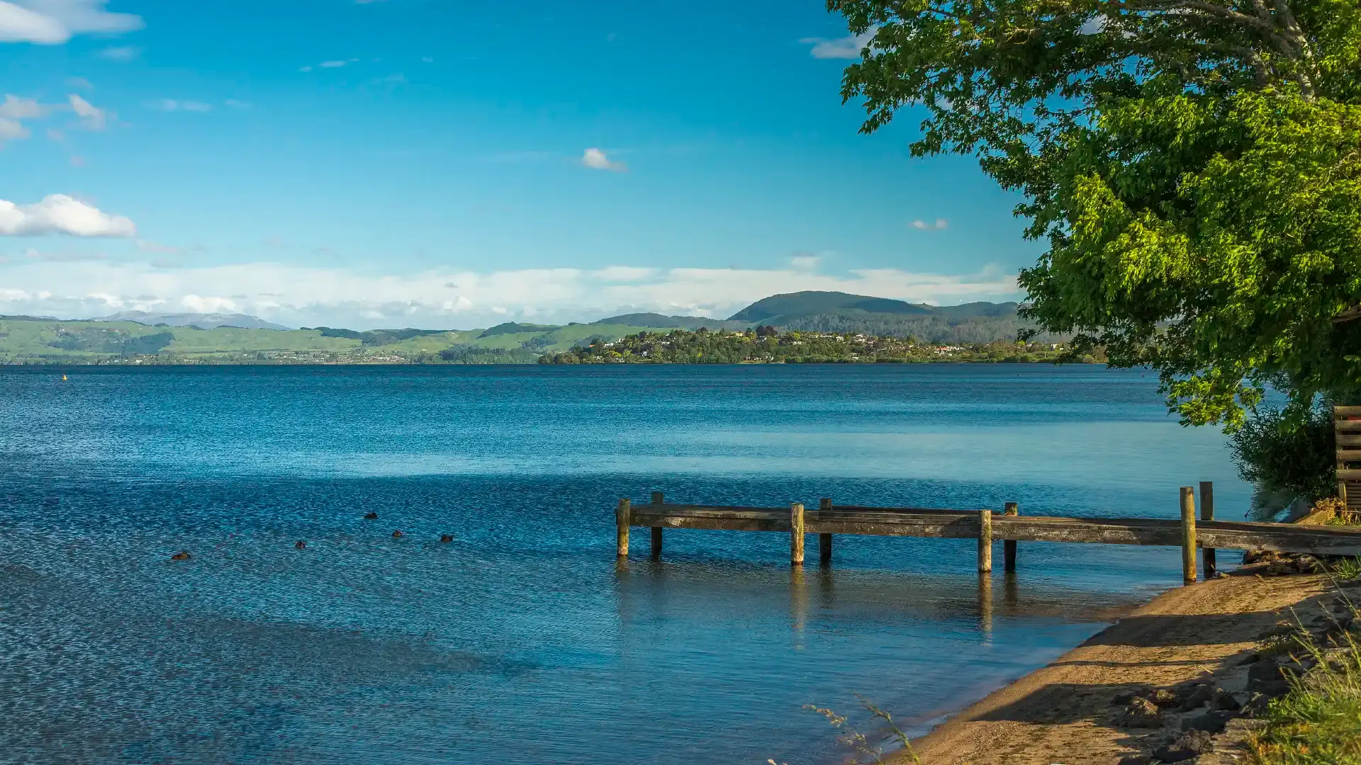 Hotels in de buurt van Lake Rotorua