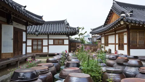 Jeonju travel destination