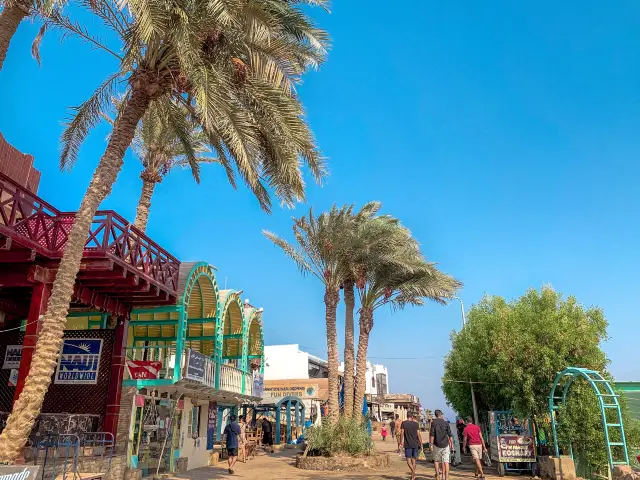 다합이 왜 좋냐 물으신다면..