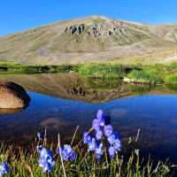 Deosai Plains, Deosai National Park