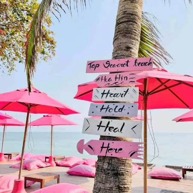 𝙏𝙤𝙥 𝙎𝙚𝙖𝙘𝙧𝙚𝙩 𝘽𝙚𝙖𝙘𝙝 𝘾𝙖𝙛e