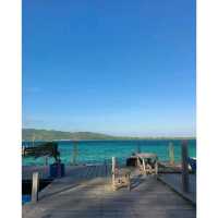 Lost in Paradise, Menjangan Island