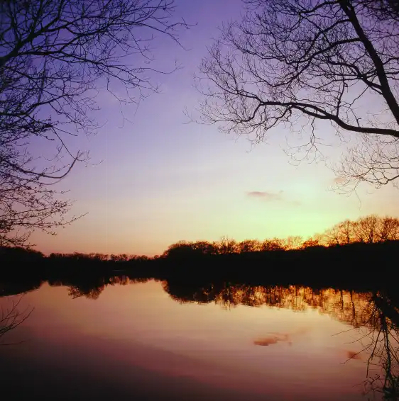 Hotels near Fort Island