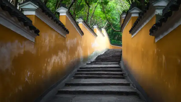 普陀山景區【單訂導遊】地陪導覽· 一單一團· 1天專業導遊服務