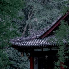 无漏秋山(素食餐厅) User Photo