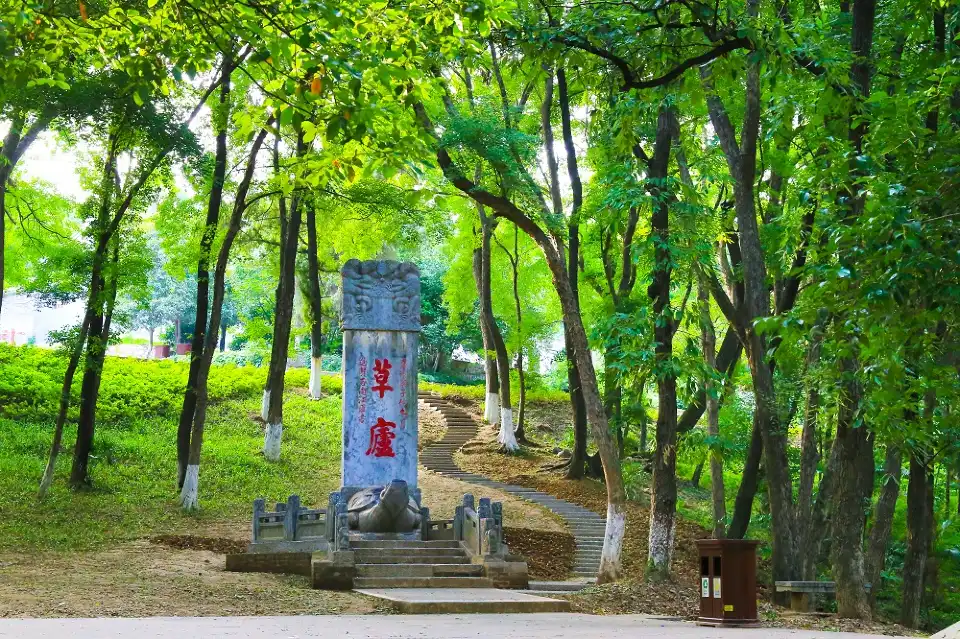 5_고룽중