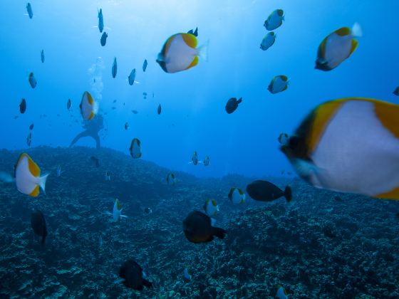 Beihai Undersea World