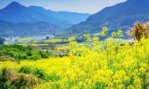 จุดชมวิวอู๋หยวน