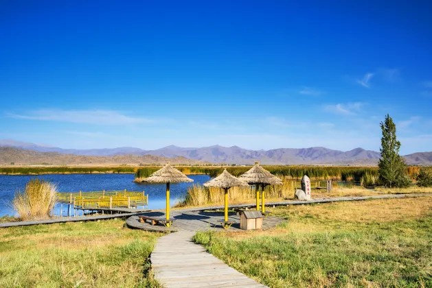 Sailimu Lake Muye Breathing Homestay