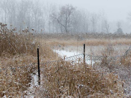 Lalu Wetland Nature Reserve