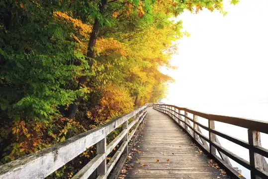 徐家匯公園周辺のホテル