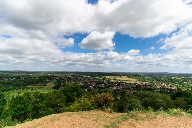 Отзывы об отеле Twin Lions Hotel