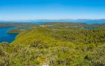 Rangitoto Island