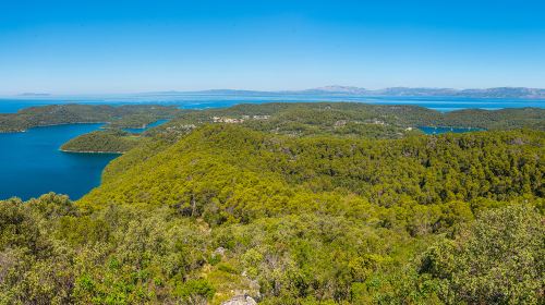 Rangitoto Island