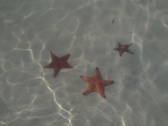 Luoyuan Bay Ocean World