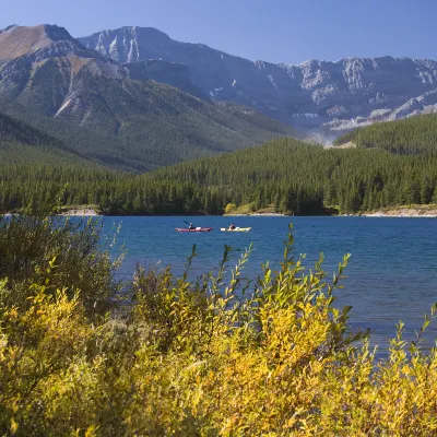 Отзывы об отеле Campus Tower Suite Hotel