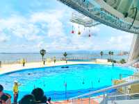 【連島沙洲上嘅水族館｜福岡「海洋世界海之中道」水族館】
