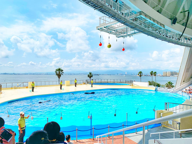 【連島沙洲上嘅水族館｜福岡「海洋世界海之中道」水族館】