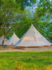 Go Safari Wild Luxury Camp